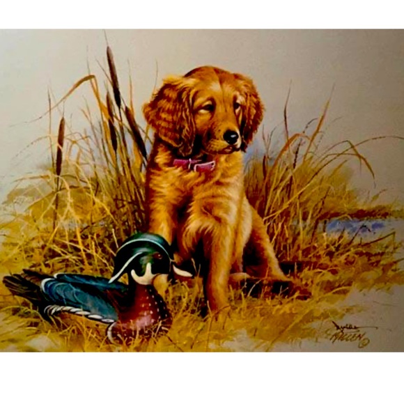 James Killen: Great Beginnings Golden Retriever Decoy Art Print-Signed Art DU - Picture 5 of 6